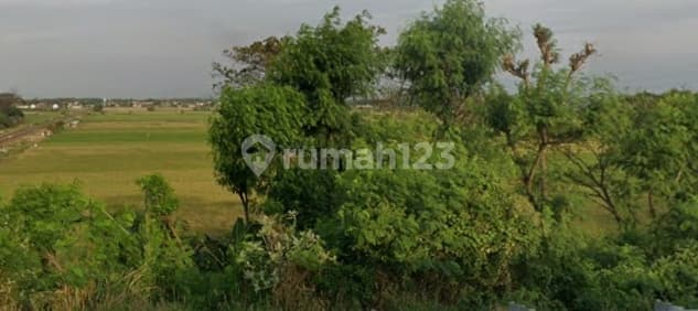 Dijual Tanah Industr Pantura Cirebon Brebes Jawa Barat