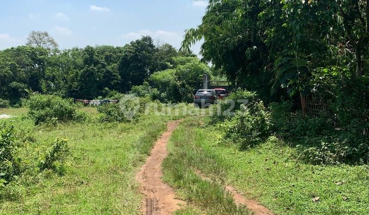 Dijual Tanah Di Cikeusal Serang Banten