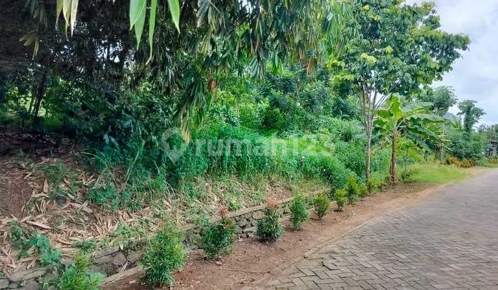 Kavling Murah 4000 M2 Lokasi Strategis Cisauk