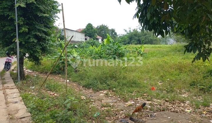 Tanah, Jual Butuh di Cisauk