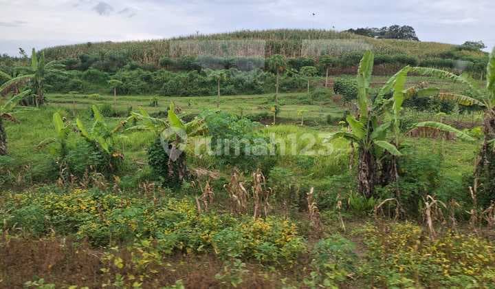 Tanah murah lokasi elite hook Setra Duta Bandung Utara