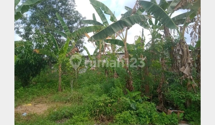 Tanah Luas Strategis di Kalialang Baru Lokasi Dekat Tol Manyaran