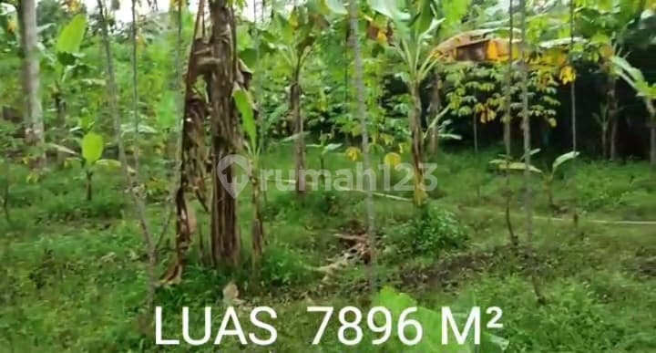 Tanah Strategis Lokasi Cibeureum Tasimalaya