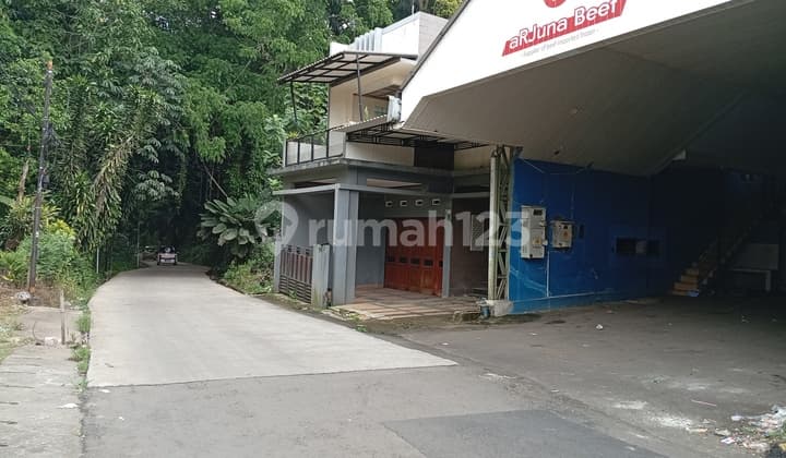 Ex Gudang Frozen Cifor Jual Lelang