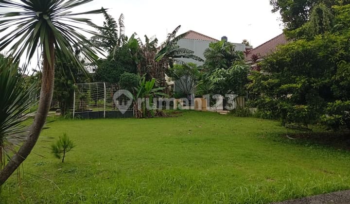 Kavling Siap Bangun Taman Yasmin Harga Lelang