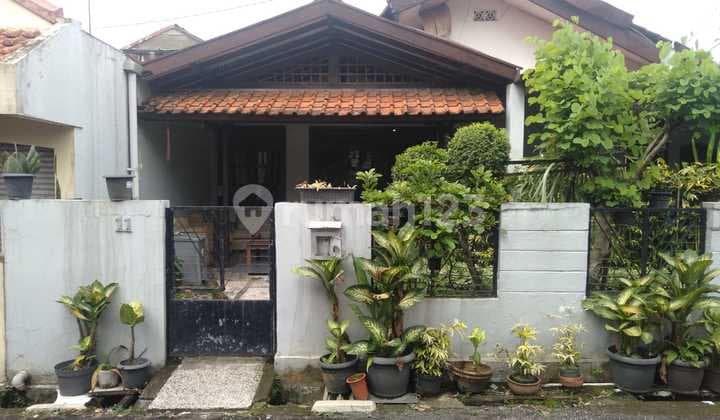 Rumah Harga Lelang Kedung Badak Baru