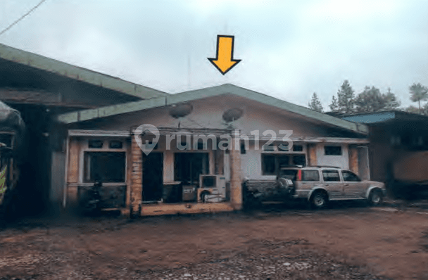 Sukabumi Auction Business Space