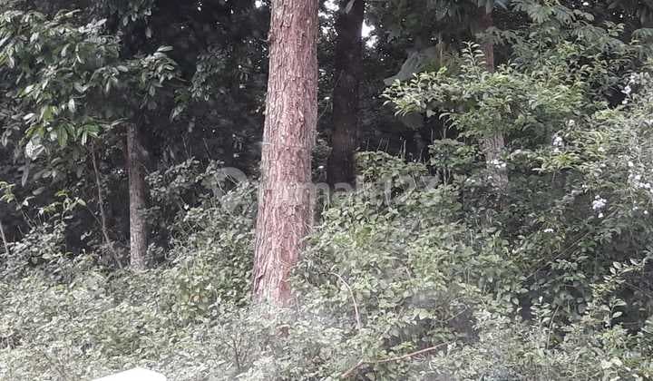Tanah Gunung Pati Raya Ungaran, Gunung Pati Murah Permeter