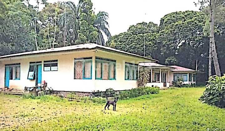 Tanah Perkebunan Dan Bangunan Lengkong Ciracap, Sukabumi Luas