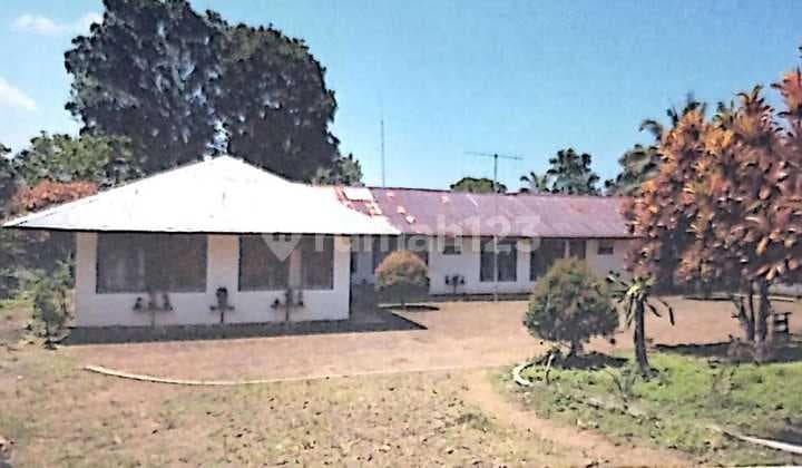 Tanah Dan Bangunan Area Perkebunan Ciemas sukabumi Nego