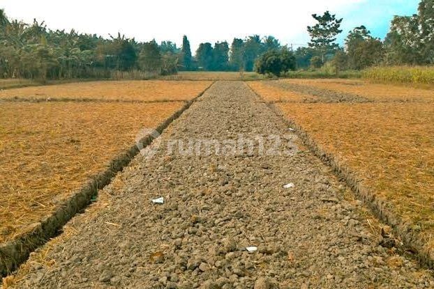 Dijual Kavling Posisi Bagus Daerah Pluit