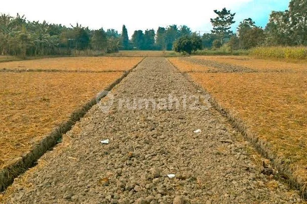 For Sale Plot In Suvarna Sutera For Sale Plot In Suvarna Sutera