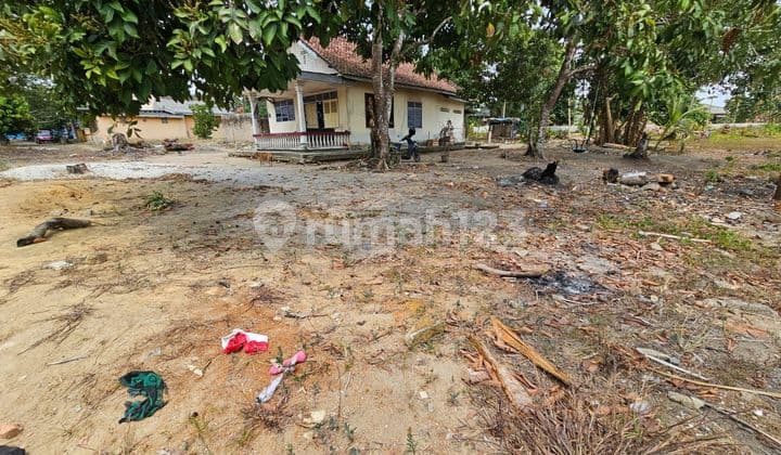 Tanah/Kavling di Baciang(Bacang), Pangkalpinang Bangka