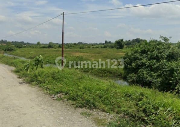 Jual Cepat Tanah 2.7 Ha Di Balaraja Timur, Cikupa