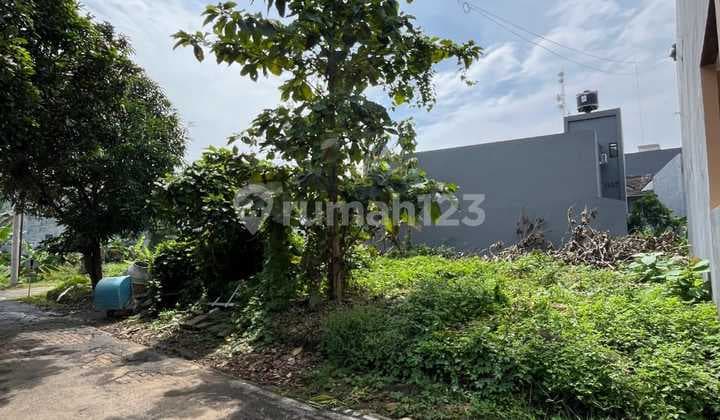 Land For Quick Sale In Bulusan Tembalang, Near Undip