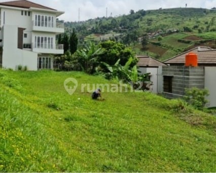 Kavling Resor Dago Pakar Spring Hills Daisy
