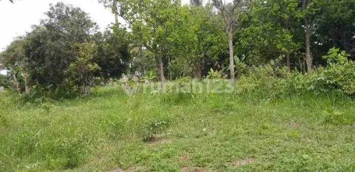 For Sale: Mountain Sindur Land, Bogor Regency, Plot 7745m2