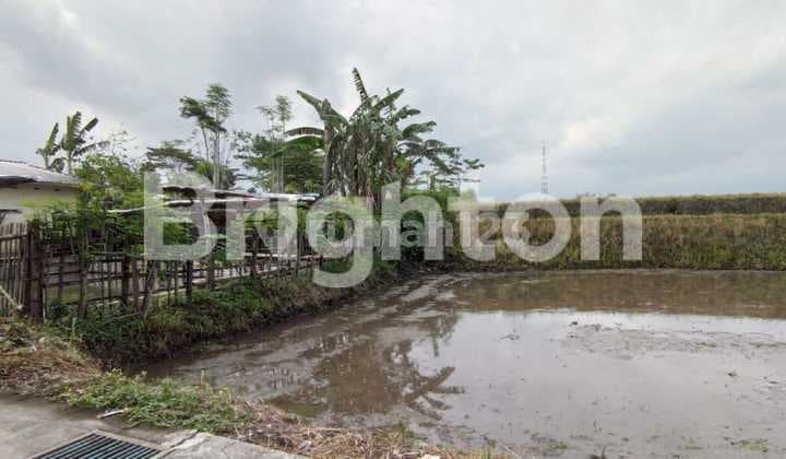 Tanah di Jl Kembang Kertas, soehat Malang SHM