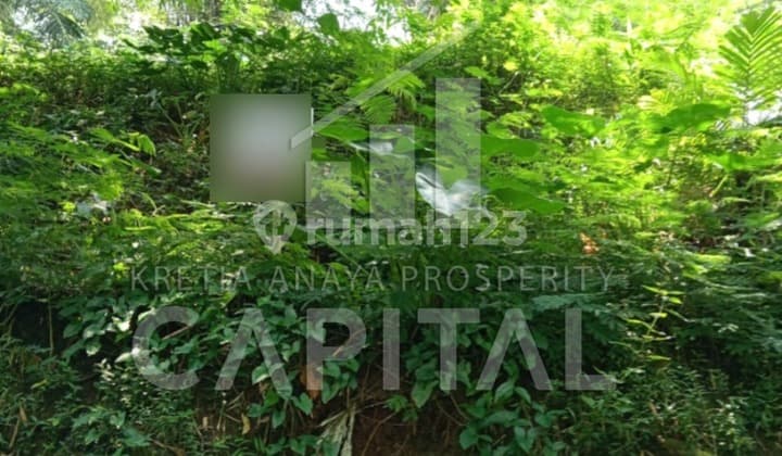 Tanah Kavling Cocok Buat Villa Atau Rumah Tinggal di Cluster Daerah Dago Giri