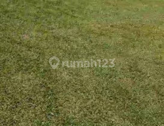 Southeast-Facing Golf Hill Body Plot BSD