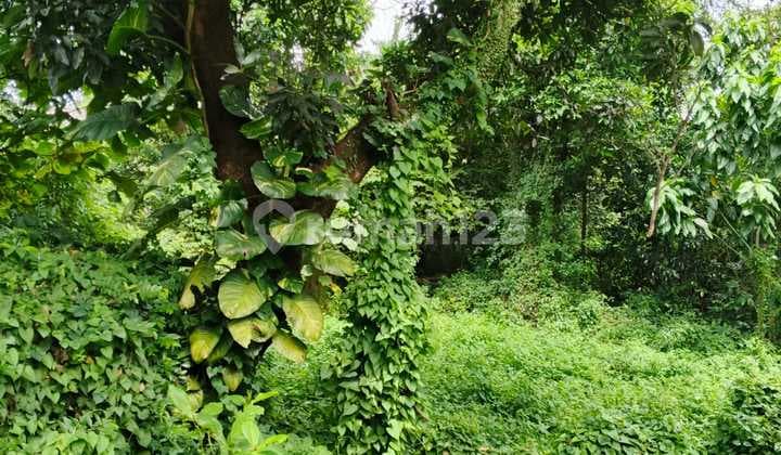 Dijual Murah Tanah Komersil Sngt Strategis SHM Dekat Tol di Bintaro