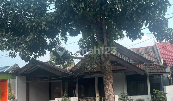 rumah Griyaloka BSD hadap jalan raya cocok untuk usaha