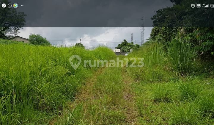 Depok Jual Cepat di Jl Krukut Raya Tanah Cocok Perumahan