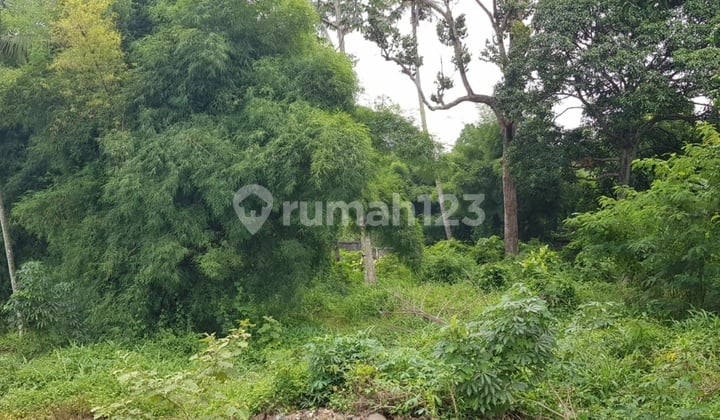 Jual Cepat Tanah Besar di Krukut Depok Cocok Untuk Perumahan