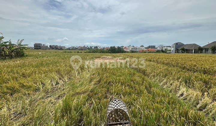 Prime Land In Cemagi With Investment Potential!