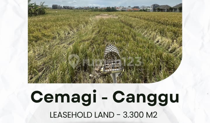 Flood-free, land, near tourist attractions, in Cemagi