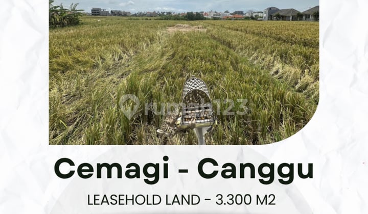 Flood-free, land, near tourist attractions, in Cemagi