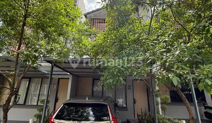 Beautiful Tiny House for Sale 2.5 Floors