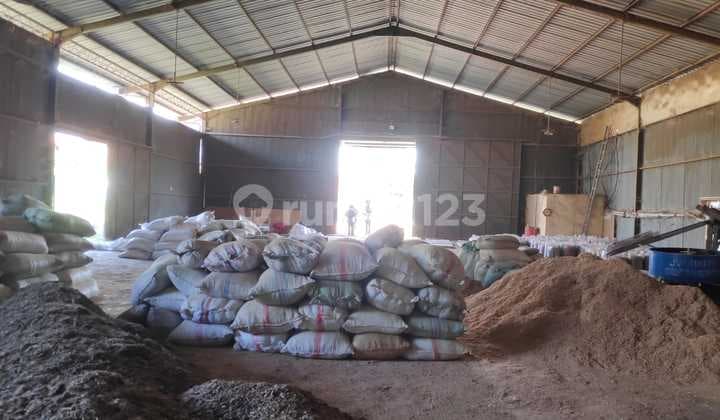 Harga Likuidasi Gudang Di Daerah Cirebon Luas 5490 Meter