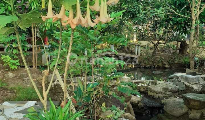 Murah Rumah Villa Hanya Dihitung Tanah Saja Di Cianjur Luas1350meter