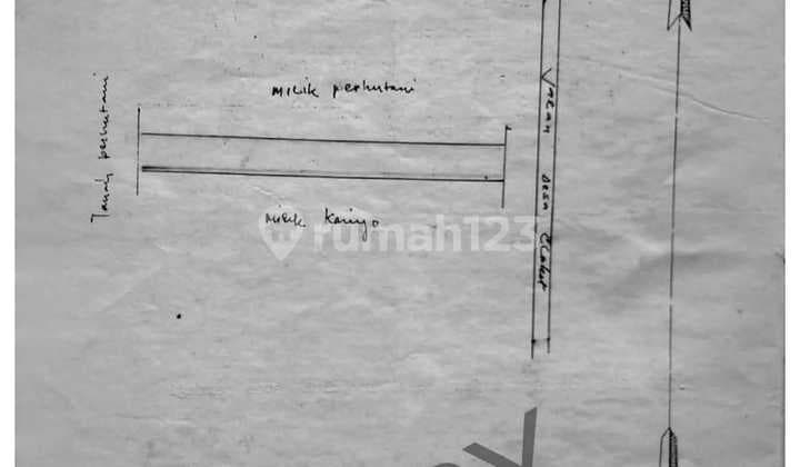 TANAH CLAKET PACET MOJOKERTO COCOK UNTUK INVESTASI