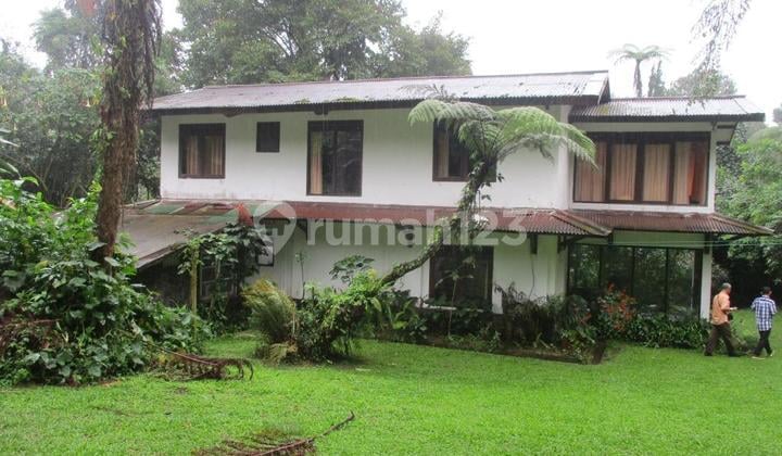 Vila N Resort Murah Bgt 2Lt di Jl Ciburial, Cisuren, Tugu Utara