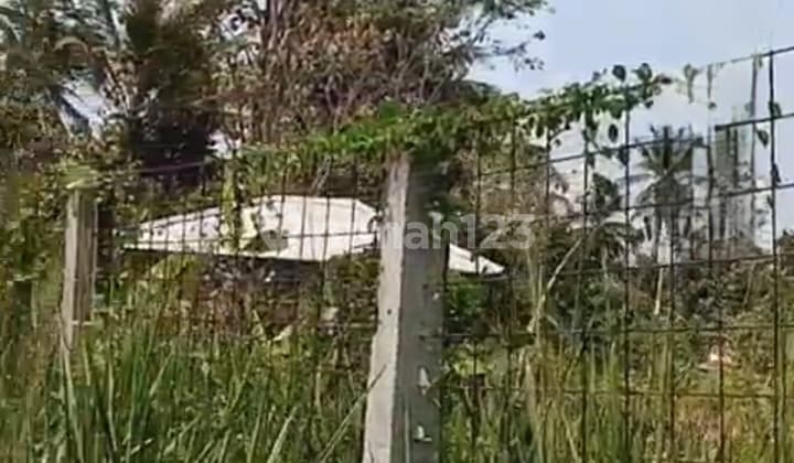 Kavling Murah Masih Nego Surat SHM di Balaraja Tangerang