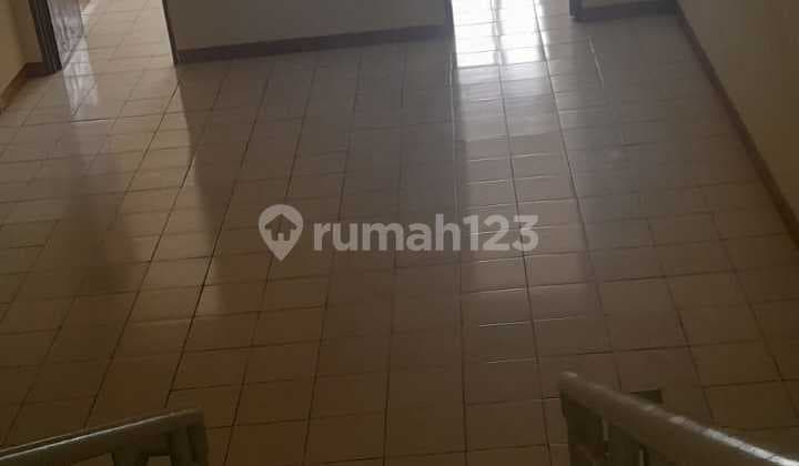 Termurah Rumah 2 Lantai Siap Huni Bebas Banjir Di Taman Palem Lestari