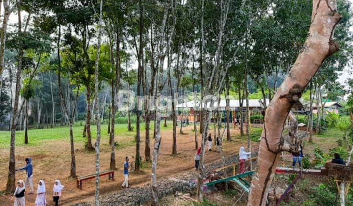 Taman Yasmin, Cimarga