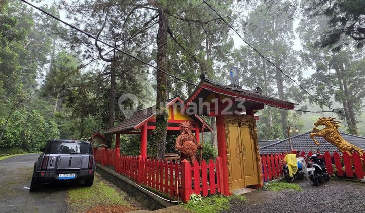 For Sale: Shamballa Villa, Megamendung, Puncak, Bogor