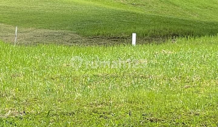 Exclusive Golf View Plots at New Royal - Grand Kawanua International City Manado