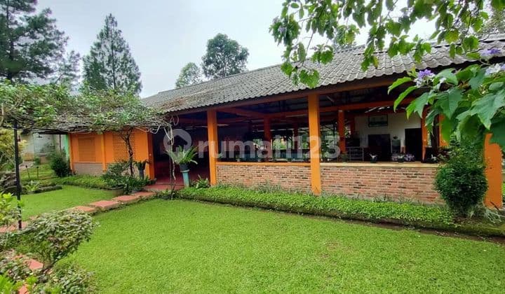 Dijual Cepat Mansion Dan Resto Asri di Pancawati Bogor