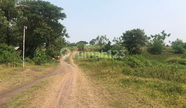 DIJUAL TANAH BAGUS UNTUK PERUMAHAN KRONJO - TANGERANG