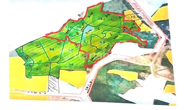 Dijual Tanah Bagus Dan Murah di Maja Tangerang