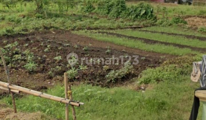 Dijual Tanah Pamulang