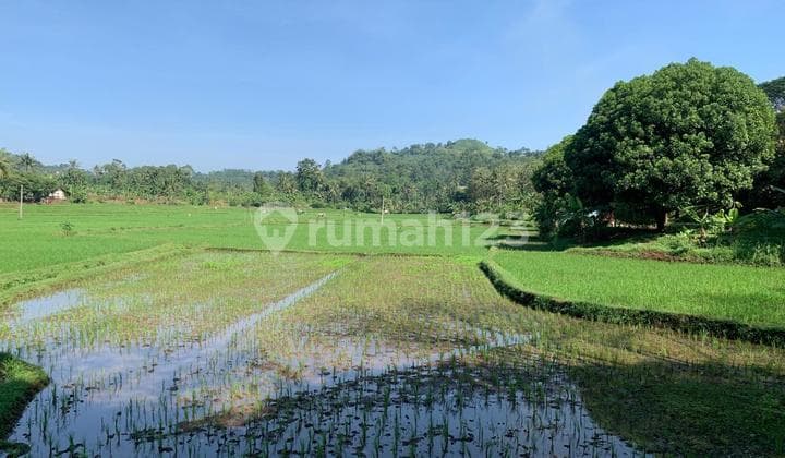 Dijual Tanah Di Cianjur