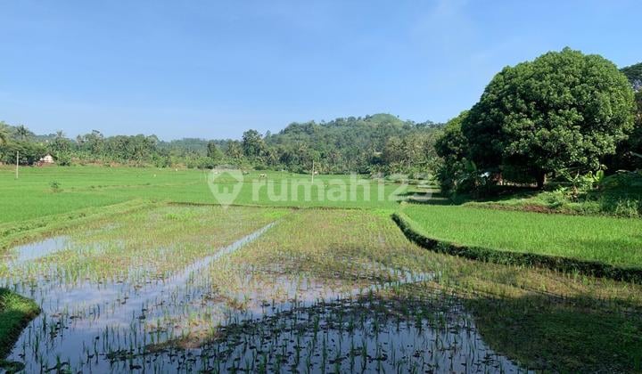 Dijual Tanah Di Cianjur
