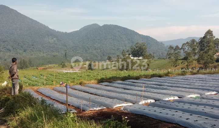 Dijual Tanah Datar View Pegunungan Pangalengan