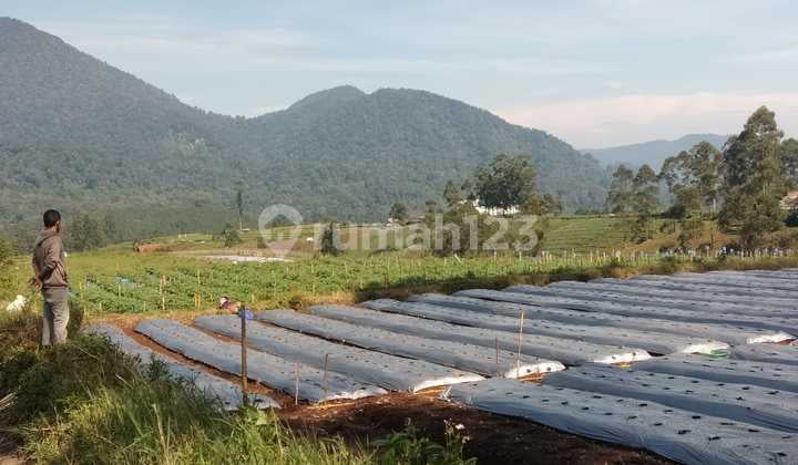 Dijual Tanah Datar View Pegunungan Pangalengan