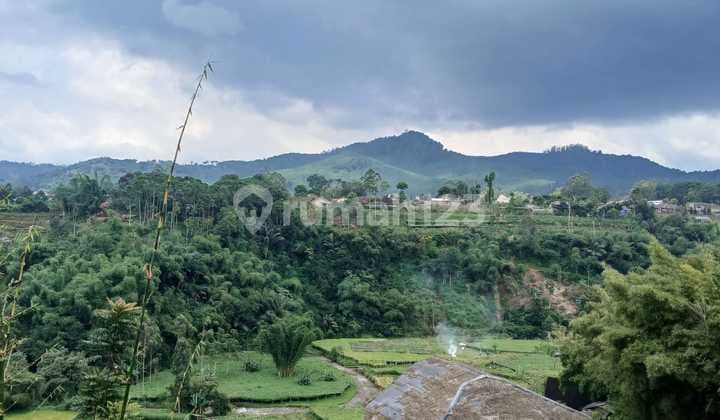 Jual Tanah Padat Cocok Buat Villa View Bagus di Ciwidey